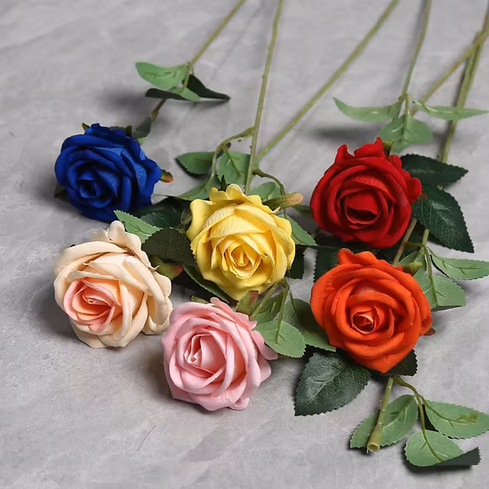 ファッショナブルハイ